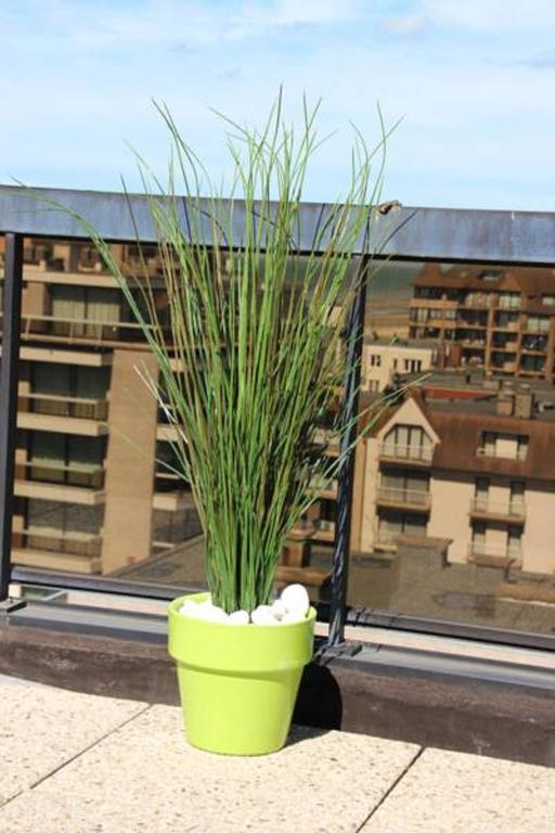Duplex Penthouse Plaza Lägenhet De Panne Rum bild